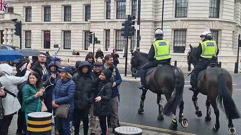 Riot horses at horse guards again #horseguardsparade