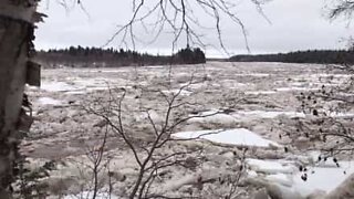 북극해의 얼음이 둥둥 떠내려가는 캐나다의 강