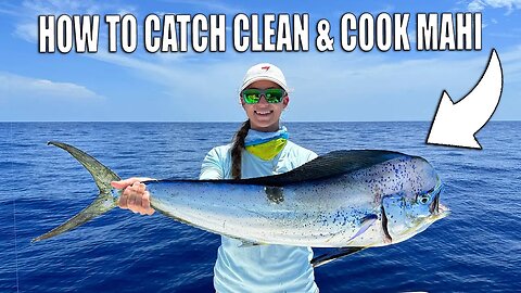 How to Catch Clean Cook Mahi Tacos