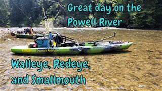 Powell River Walleye, Smallmouth and Redeye