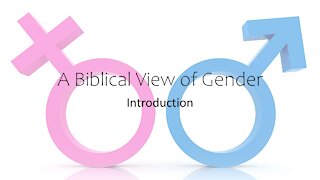 Gender and the Bible #4 - Genesis 2 for Her