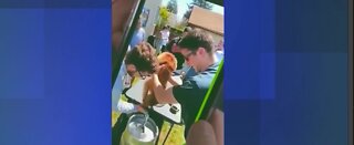 Dog allegedly forced to drink beer