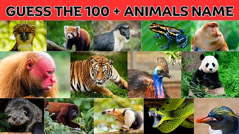Guess 100 Plus Animals Name | Top 100 Animal List | Guess Animal Quiz | Kuiz Quizzo