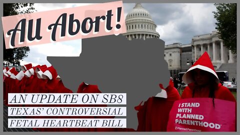 All Abort! Recent Developments In Abortion Litigation & Legislation