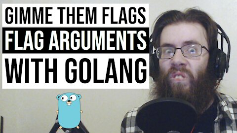 How to use flags to modify the behavior of your Golang programs