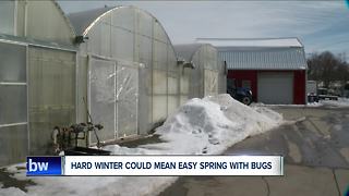 Long winter could decrease spring pests