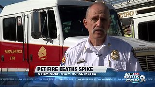 Rural Metro Fire seeing a spike in pets dying in home fires