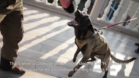 Black man mauled by Ohio K9