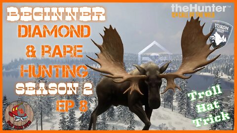 Beginner DIAMOND & RARE Hunting Ep 38 - theHunter Call of the Wild