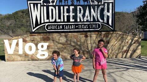African safari Texas Style USA Wildlife Ranch | kids Vlog