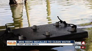 Mini reefs installed to clean water