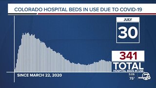GRAPH: COVID-19 hospital beds in use as of July 30, 2020
