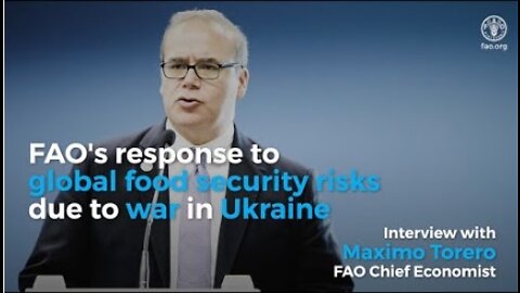 FAO's response to global food security risks due to war in Ukraine​ - Interview with Maximo Torero