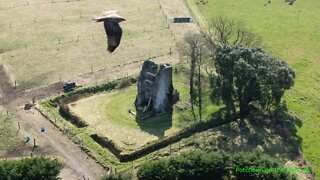 Hawk repeatedly attacks intrusive drone