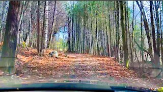 Quebec country backroads - driving timelapse