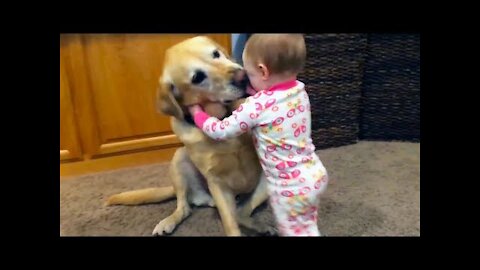 Adorable Babies Playing With Dogs and Cats - Funny Babies Compilation 2018