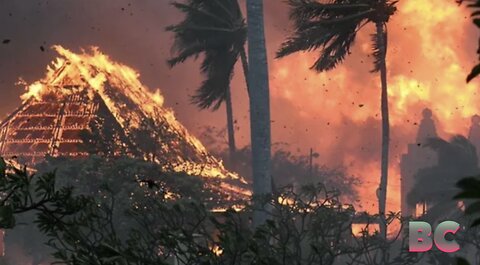 Hawaii wildfires cause 36 deaths, over 200 structures impacted