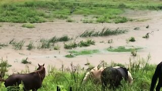 Flooding again, second time in 8 days