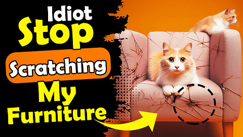 How to Stop your Cat from Scratching Furniture?