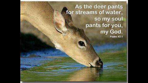 A Beautiful Psalm #42 God Bless You!