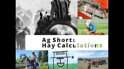 Calculating Hay REQUIREMENTS - Ag Shorts