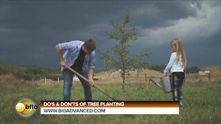 DO'S AND DON'TS OF TREE PLANTING