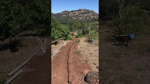 Electrical Sub-panels Trenching August Rainbow CA 'get some' DIY in 4D