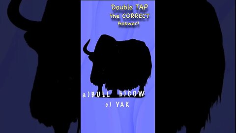 🐮Guess the farm animal shadow game bull cow yak? quiz video Yakety Yak #shorts