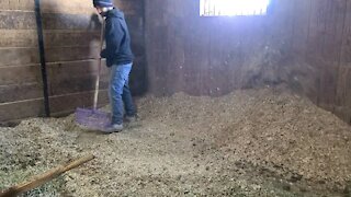 Horse stall cleanup
