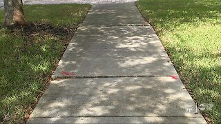 Broken sidewalks in Hillsborough County make it dangerous to walk around