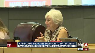 Cape Coral joins Sanibel in petition for new solution to water crisis