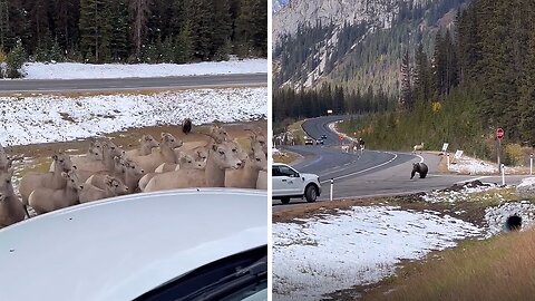 Cody and I got to witness something pretty crazy and honestly a little humbling today