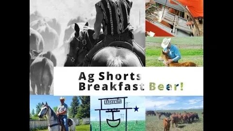 Breakfast Beer?! - Ag Shorts