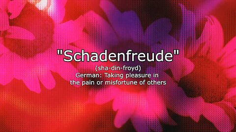 SCHADENFREUDE (Sha-Din-Froyd)