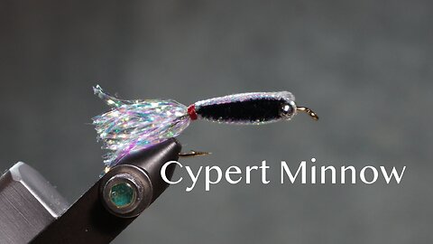 Cypert Minnow