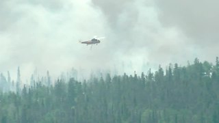 Buffalo Mountain Fire