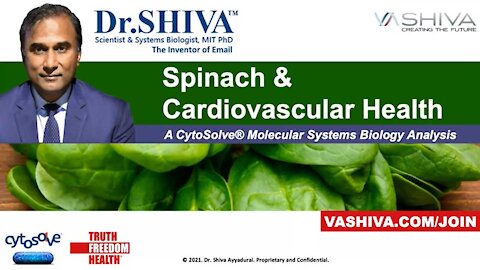 Spinach and Cardiovascular Health. A CytoSolve Molecular Systems Analysis.