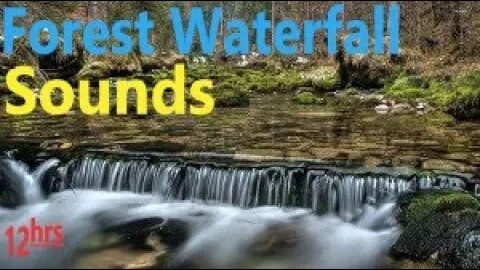Forest Scenic Waterfall - Relax, Meditate, Focus, Work, Study, DeStress, Soothe Baby, PTSD - 12 hrs