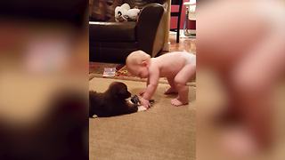 The Cutest Game Of Tug Of War: A Baby VS A Puppy
