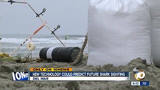 New technology could predict future shark sightings
