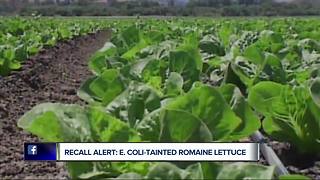 Romaine lettuce to blame for E. coli outbreak in 11 states, CDC reports
