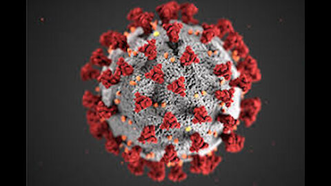 This is what Coronavirus does to the human body | COVID-19