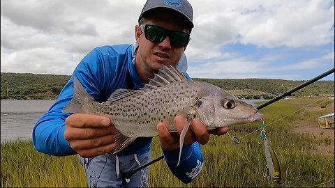 shad fishing in south africa｜TikTok Search