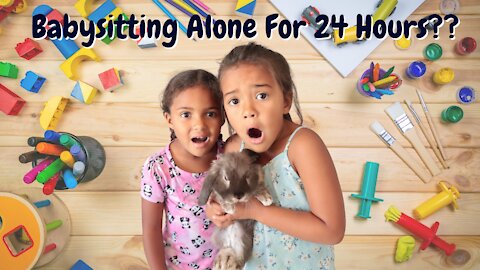 Kids Videos: My Kids Babysit Our Holland Lop Bunny For 24 Hours! (Funny Animal Video)