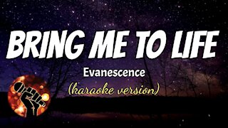 BRING ME TO LIFE - EVANESCENCE (karaoke version)