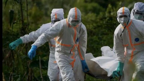 Deadly Ebola-like Marburg virus could ‘spread far and wide’ if not stopped: WHO.