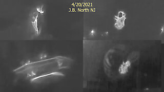 April 2021 Rainy Night Orb Activity, Shape Matching (Infrared) Pt. 1