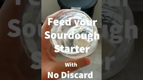 How to Feed Your Sourdough Starter