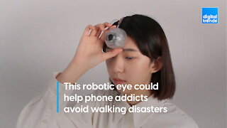 Robotic Third Eye