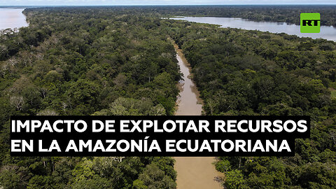 Experto: La explotación de recursos en la Amazonía ecuatoriana implica cambios ambientales